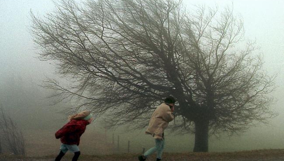 Синоптики попередили про небезпечне посилення вітру на Чернігівщині