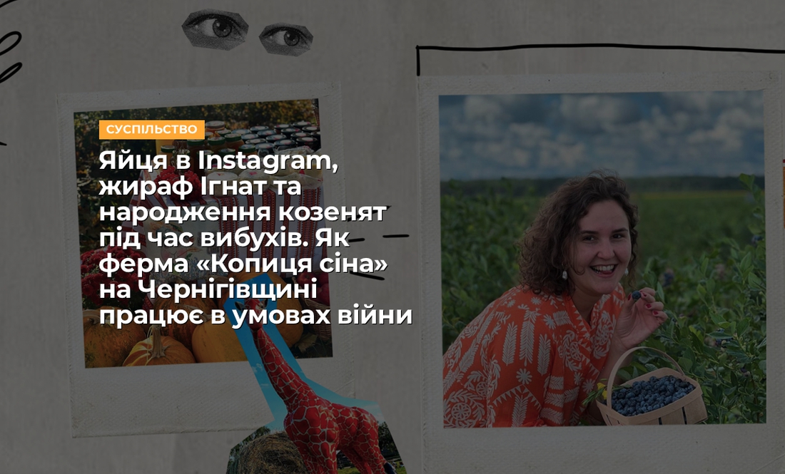 Яйця в Instagram, жираф Ігнат та народження козенят під час вибухів. Як ферма «Копиця сіна» на Чернігівщині працює в умовах війни