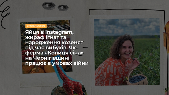 Яйця в Instagram, жираф Ігнат та народження козенят під час вибухів. Як ферма «Копиця сіна» на Чернігівщині працює в умовах війни