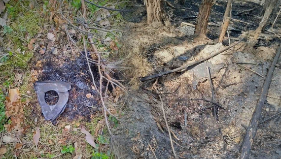 Через ворожий приліт горіло 2 гектари лісу