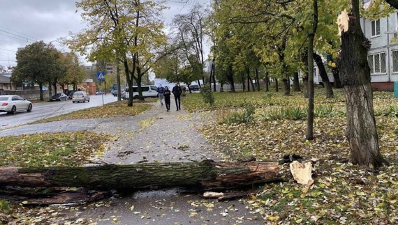 На Чернігівщині шквальний вітер наробив шкоди у громадах