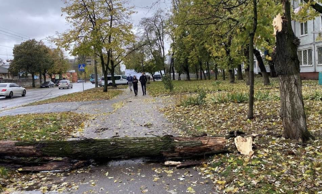 На Чернігівщині шквальний вітер наробив шкоди у громадах