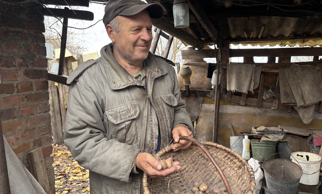Молода картопля восени, а морква у березні: як і що вирощують на Чернігівщині через зміну клімату