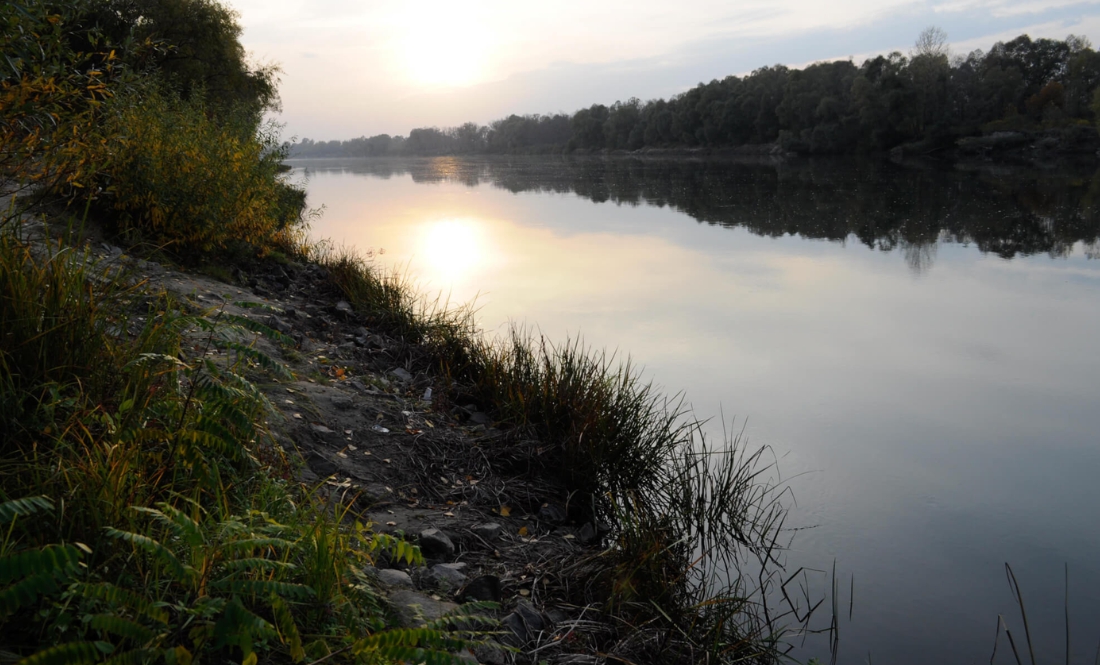 Міндовкілля: вода в Десні стала прозорішою, у Сеймі - повторне забруднення