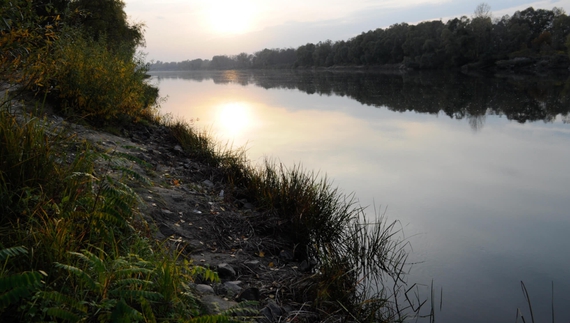 Міндовкілля: вода в Десні стала прозорішою, у Сеймі - повторне забруднення