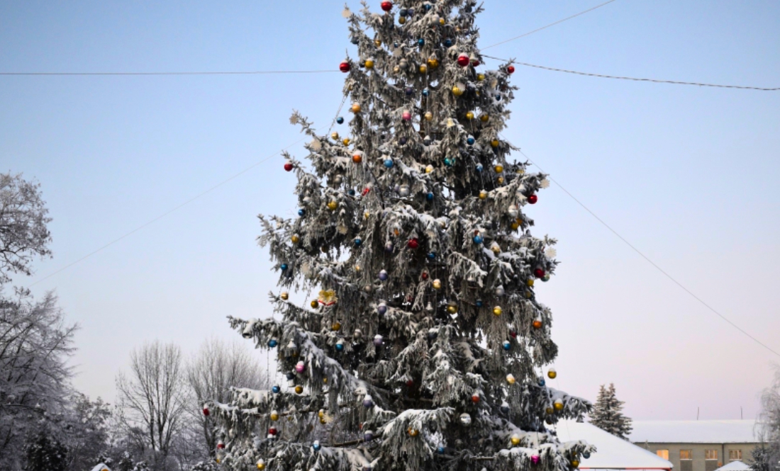 Ялинки в громадах: як на Чернігівщині готуються до свят