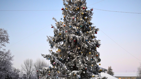 Ялинки в громадах: як на Чернігівщині готуються до свят