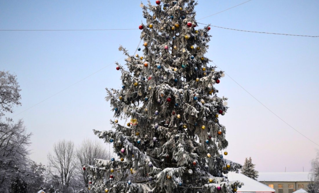 Ялинки в громадах: як на Чернігівщині готуються до свят