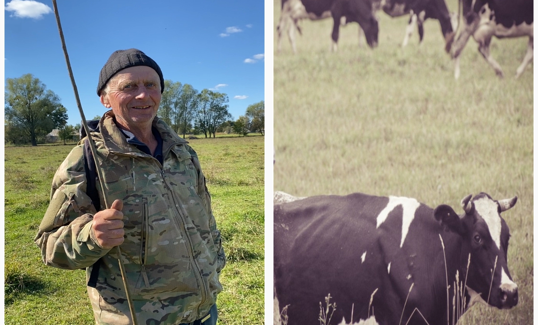 У селі на Чернігівщині стадо на 25 корів: скільки платять пастухам