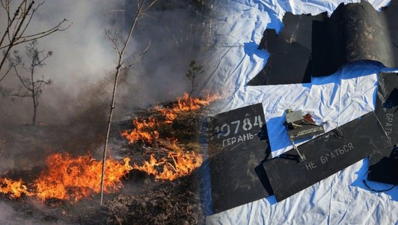 На кордоні з Білоруссю горів острів: пожежу гасили три дні