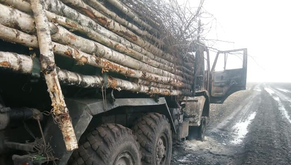 Укріплювали броню деревами: нові фото потрощеної російської техніки біля Чернігова