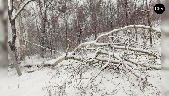 Через обледеніння та сильні опади вранці 9 січня без електрики залишалося більше 75 тисяч абонентів