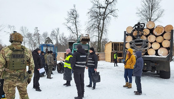 «Чорні лісоруби» на Чернігівщині: як правоохоронці викрили злочинну схему на десятки мільйонів гривень
