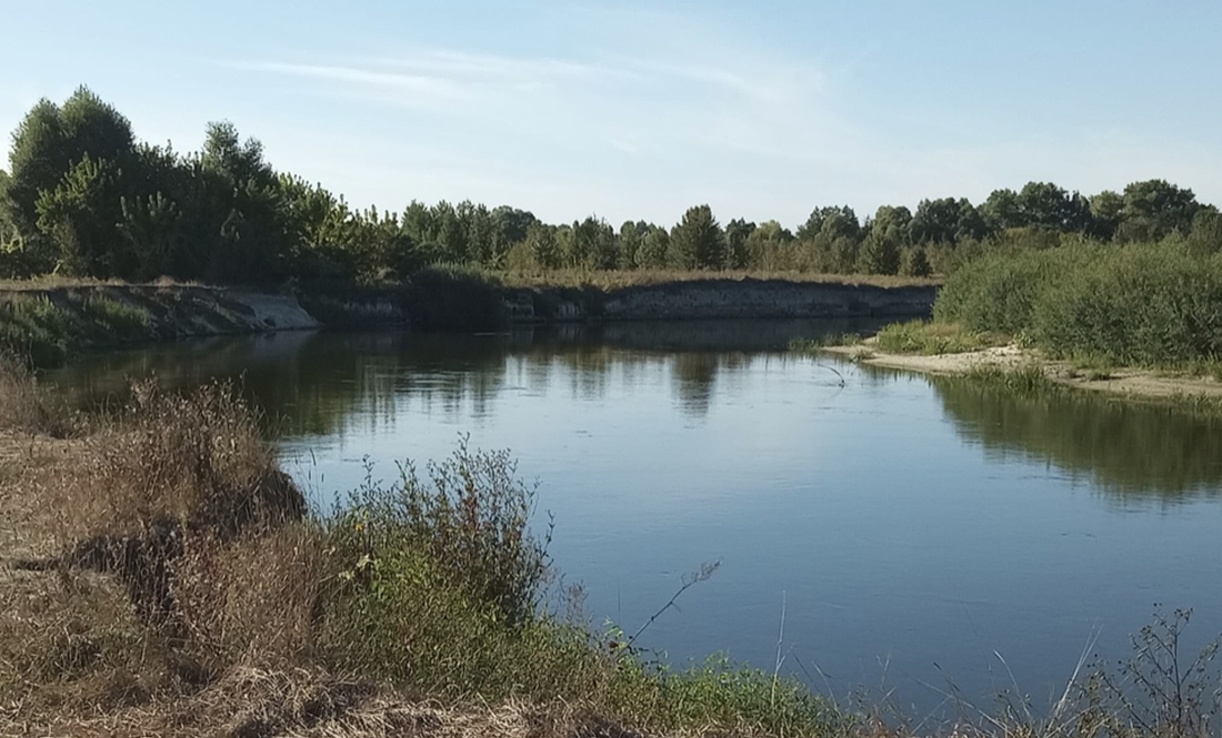 Дохли хижаки: щука, судак, мінога. Зараз вода чорна