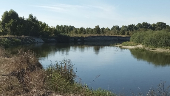 Дохли хижаки: щука, судак, мінога. Зараз вода чорна