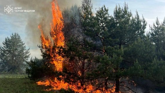 Горить ліс після падіння російського дрона. Фото ДСНС