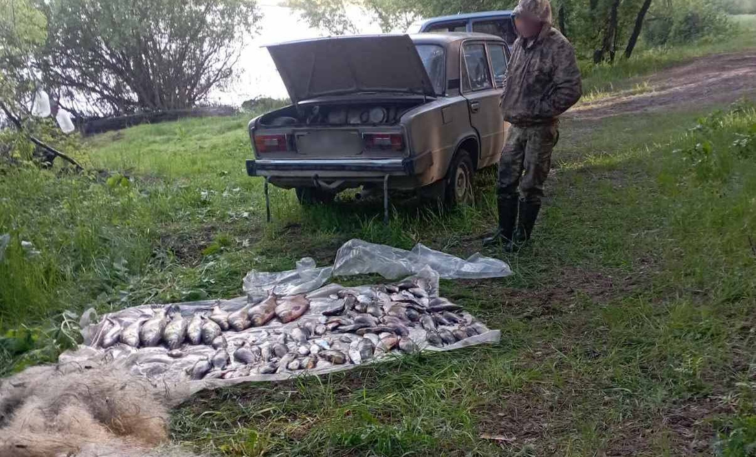 На Чернігівщині затримали браконьєра: наловив риби на понад 176 тисяч гривень