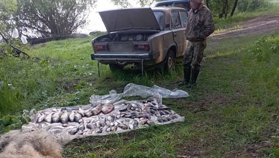 На Чернігівщині затримали браконьєра: наловив риби на понад 176 тисяч гривень