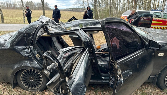 Дерево впало на автівку, де були четверо дорослих і дитина - є загиблі