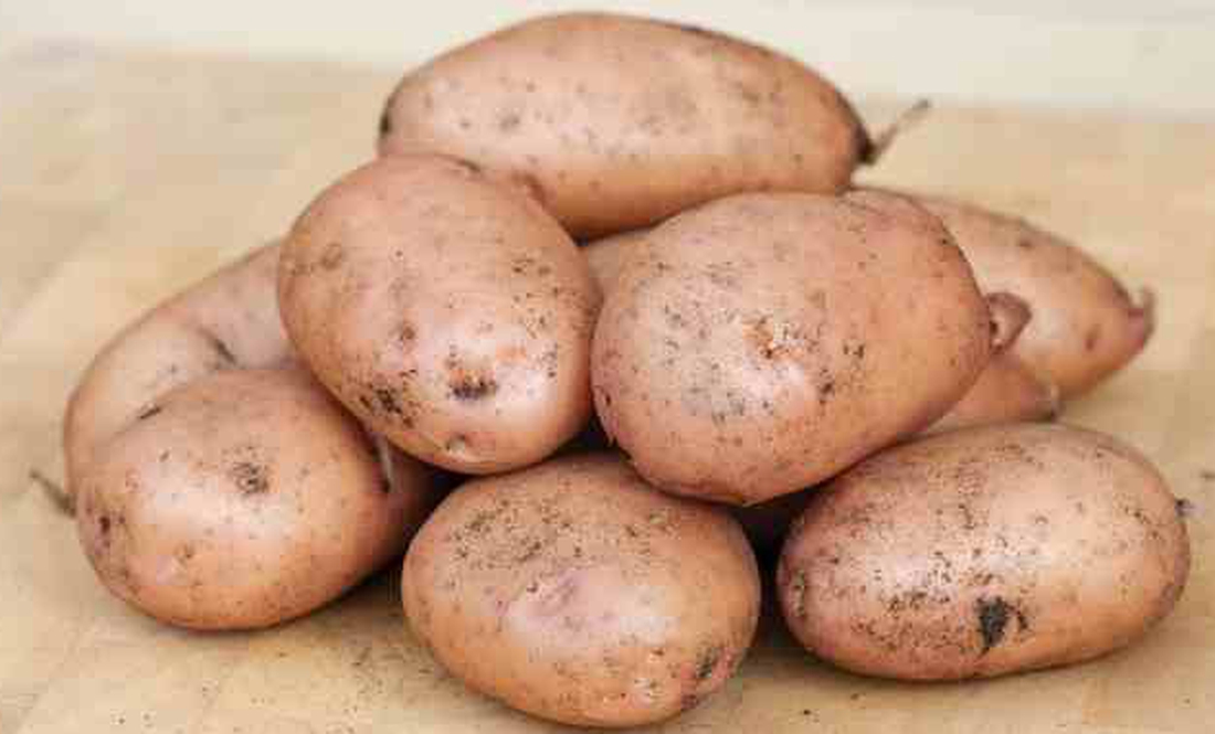 Як отримати безкоштовно 30 кілограмів посівної картоплі