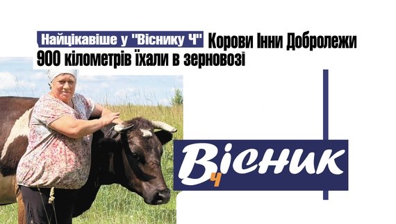 Переселенці з Покровська приїхали на Чернігівщину з коровами. Читайте у "Віснику"
