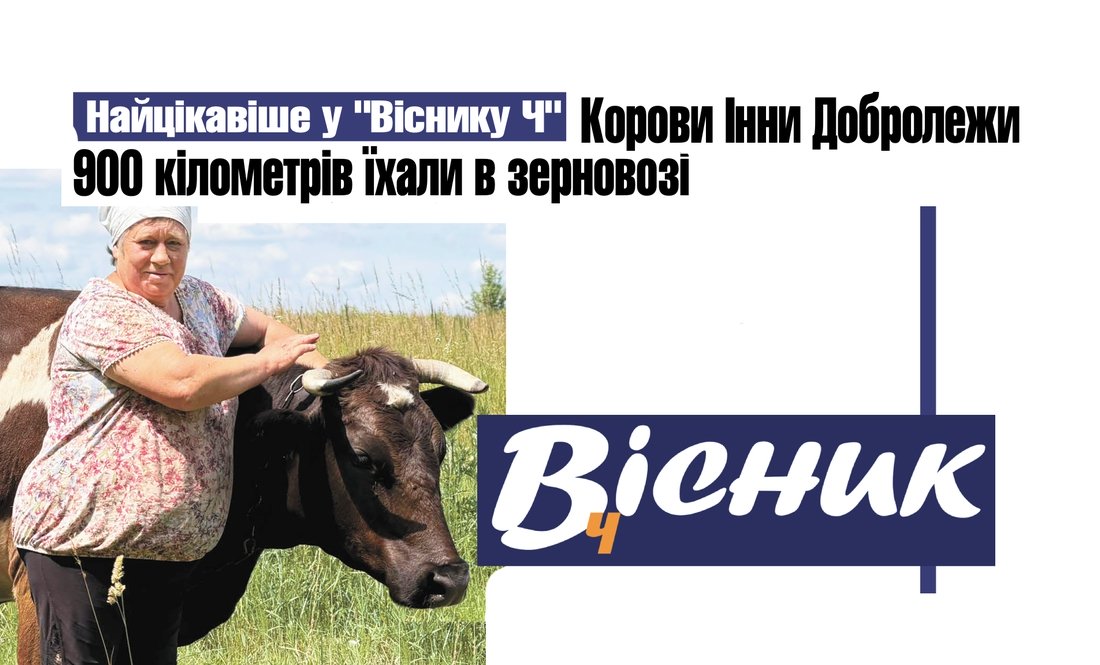 Переселенці з Покровська приїхали на Чернігівщину з коровами. Читайте у "Віснику"