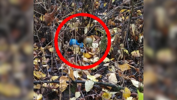 На Чернігівщині енергетики біля залізниці знайшли три гранати