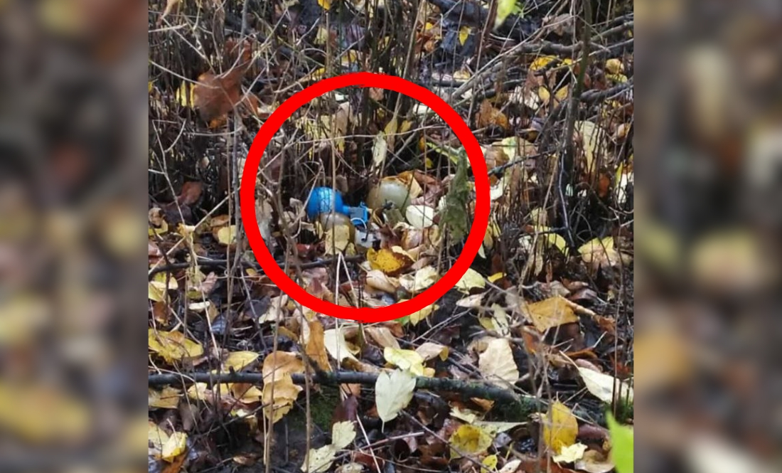 На Чернігівщині енергетики біля залізниці знайшли три гранати