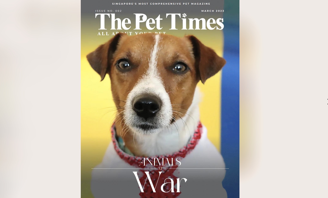 Теж «Таймс», але зоо: пес Патрон став зіркою обкладинки у… Сінгапурі