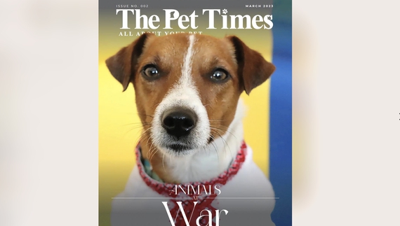 Теж «Таймс», але зоо: пес Патрон став зіркою обкладинки у… Сінгапурі