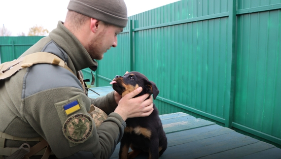 У чернігівських кінологів - дуже миле поповнення