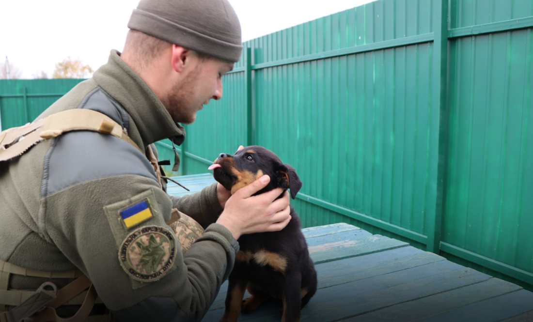 У чернігівських кінологів - дуже миле поповнення