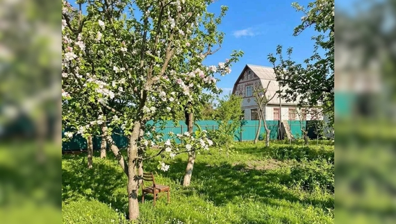 У Слабин запрошують родини з дітьми - у селі є вільні будинки