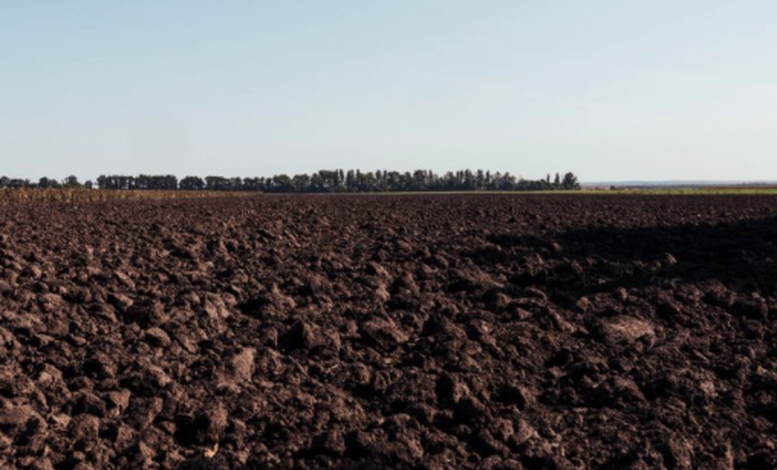 На Чернігівщині вартість ріллі - одна з найдешевших по Україні