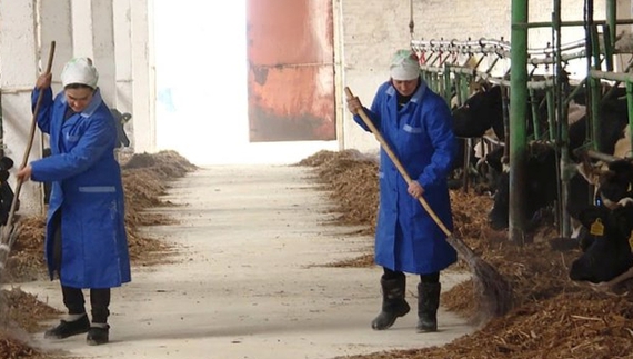 Чернігівці, які виїхали у лютому в білорусь, вертаються додому