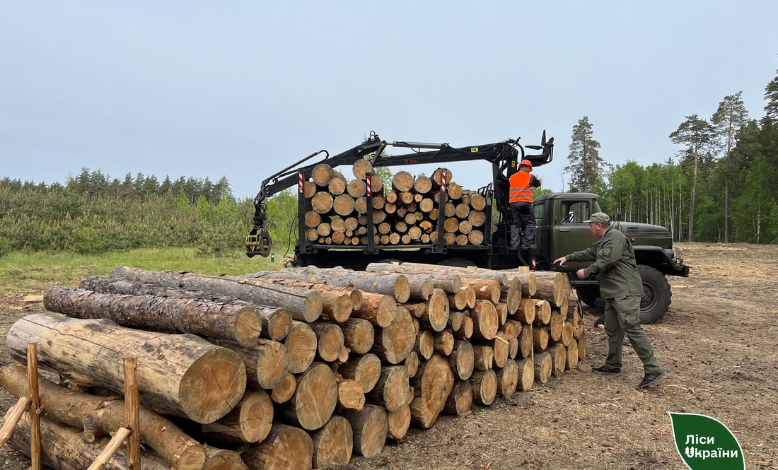 Корисні контакти: де на Чернігівщині можна купити дрова?