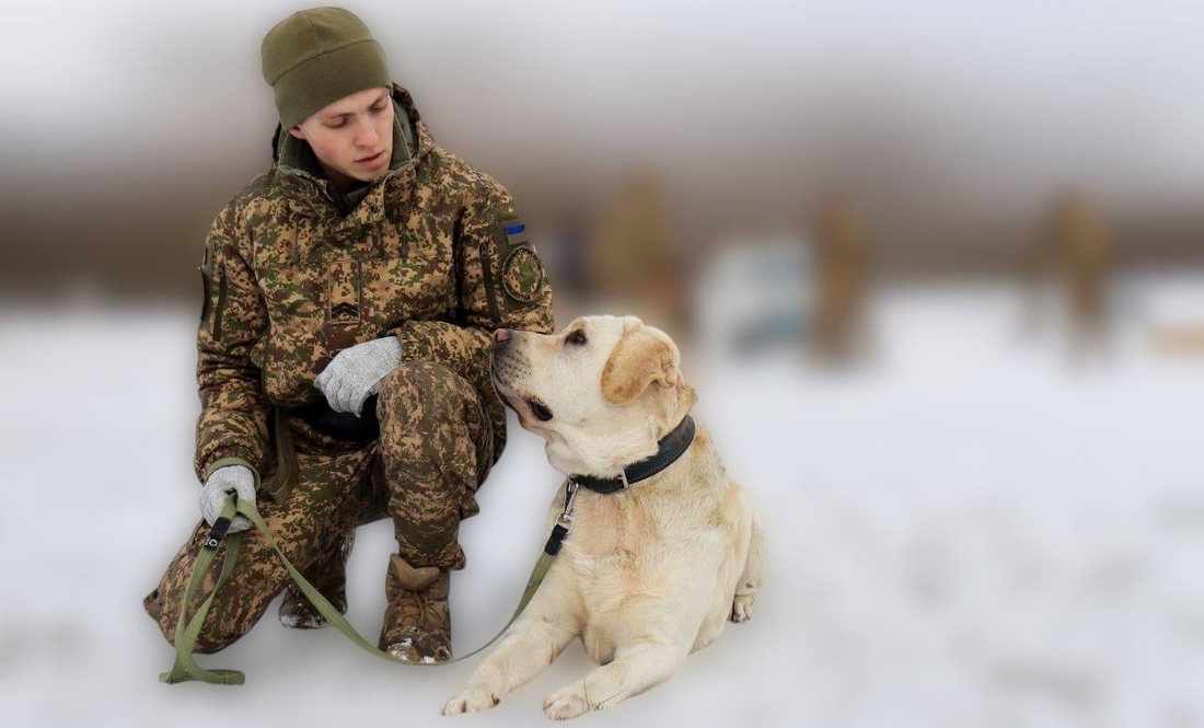 Вони працюють пліч-о-пліч вже декілька років