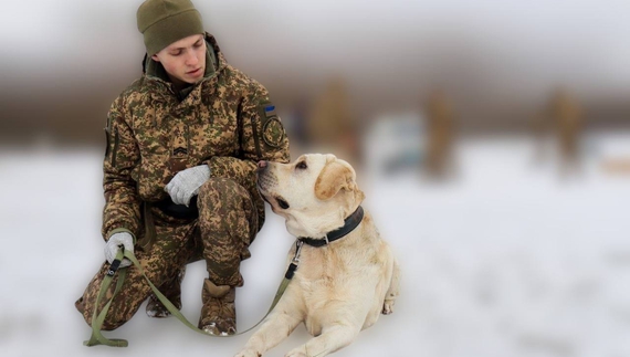 Вони працюють пліч-о-пліч вже декілька років