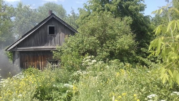 Сміття, бур'яни, авто на газонах: у громаді нагадали про штрафи