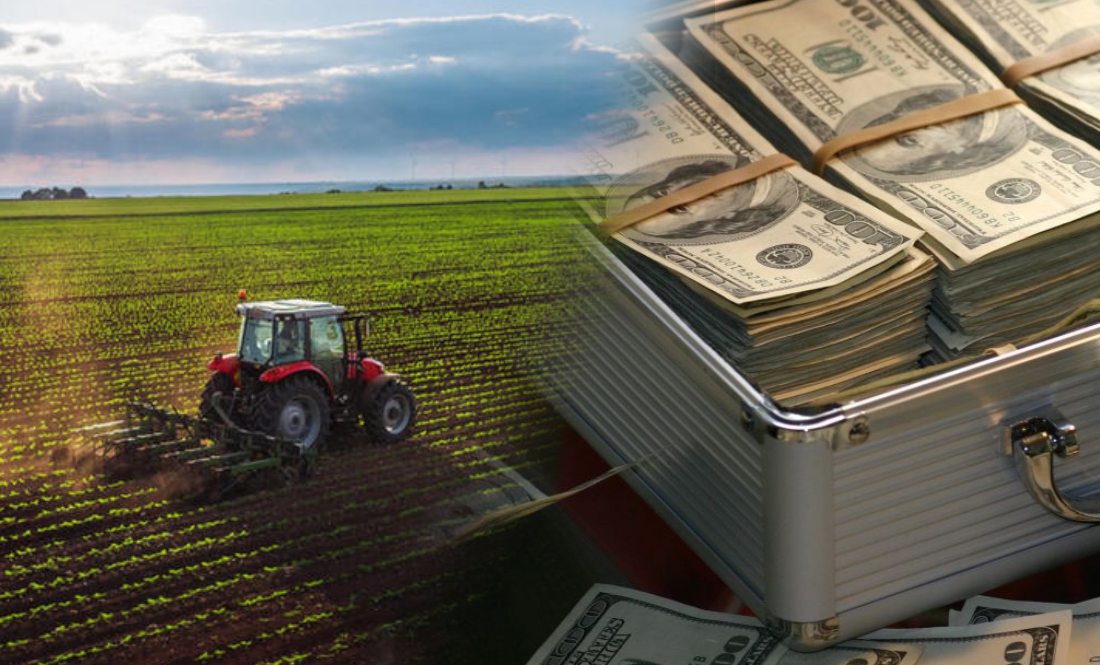 Агробізнес заробляє мільярди: у рейтингу — компанії з землями на Чернігівщині