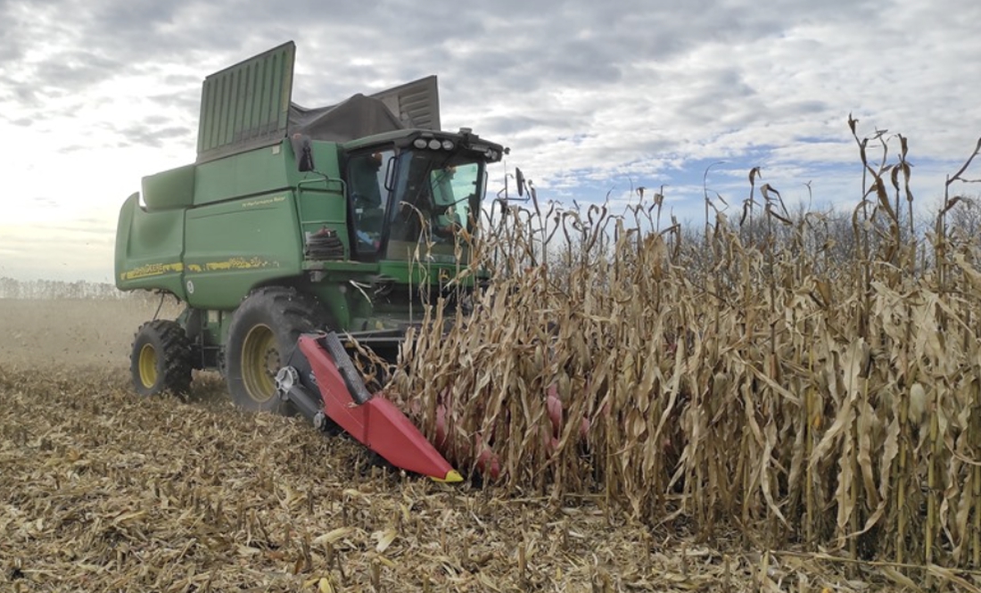 На Чернігівщині продовжують збираюти кукурудзу