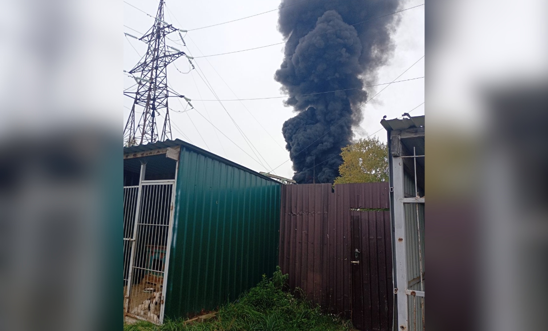 У Чернігові ворожі дрони пошкодили притулок для тварин