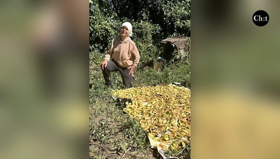 Яблука з двору, куди влучили росіяни: як їх сушать у Дроздівці