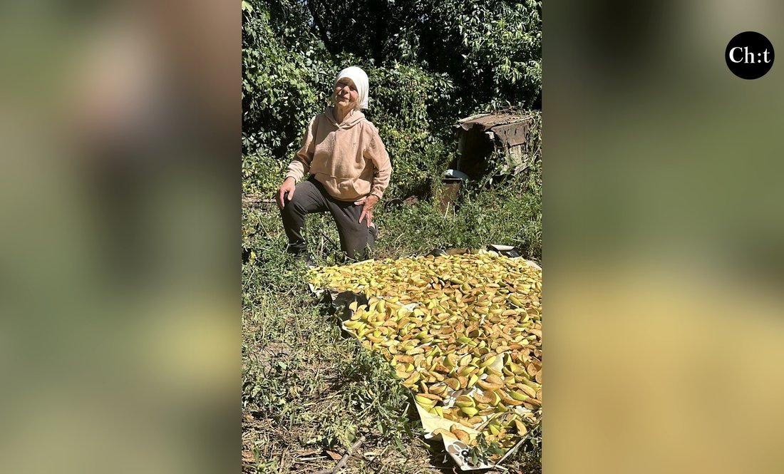 Яблука з двору, куди влучили росіяни: як їх сушать у Дроздівці