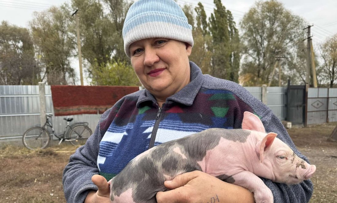 Віра Єременко з поросям породи петрен