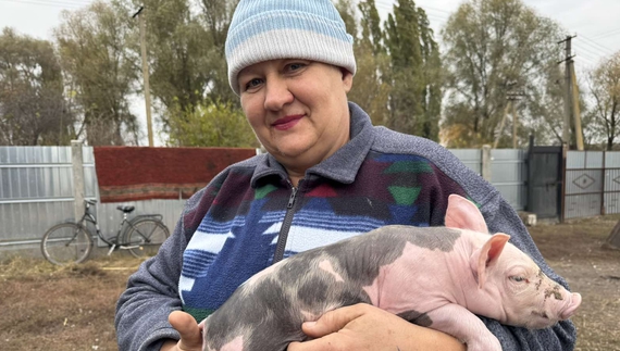 Віра Єременко з поросям породи петрен