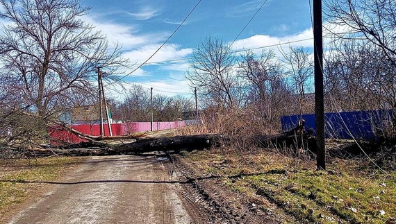 Негода наробила лиха на Чернігівщині – без світла залишилося більше 8 тисяч домогосподарств