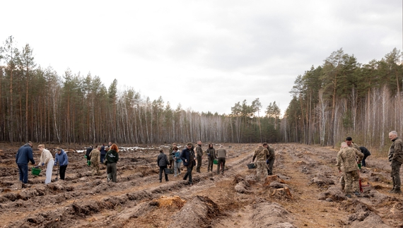 ДРГ вбила воїна-лісівника - на його честь висадили ліс на Чернігівщині
