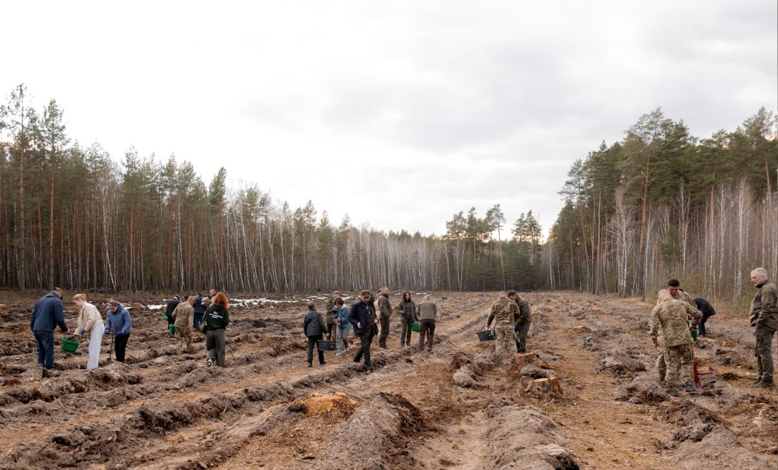 ДРГ вбила воїна-лісівника - на його честь висадили ліс на Чернігівщині