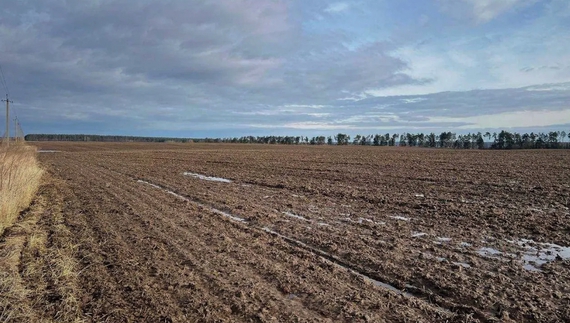 Чоловік другий рік чекає орендну виплату за пай. Коли заплатять?